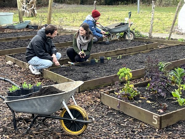 Two people can be seen talking as they squat in front of a raised bed. Another person in the background is about to plant some seedlings